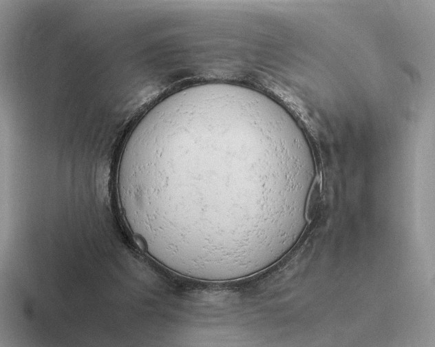 X0000116660201201001041116