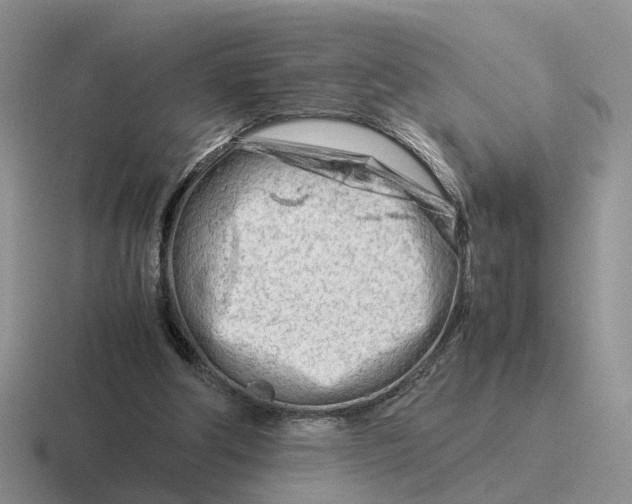 X0000116660202201001041116