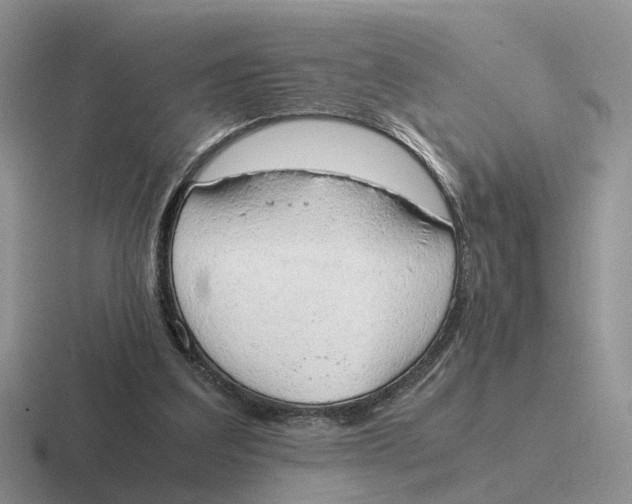 X0000116660203201001041116