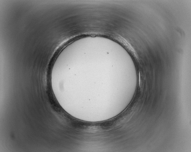 X0000116660204201001041116