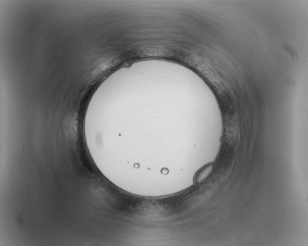 X0000116660207201001041116