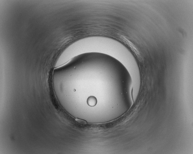 X0000116660209201001041116