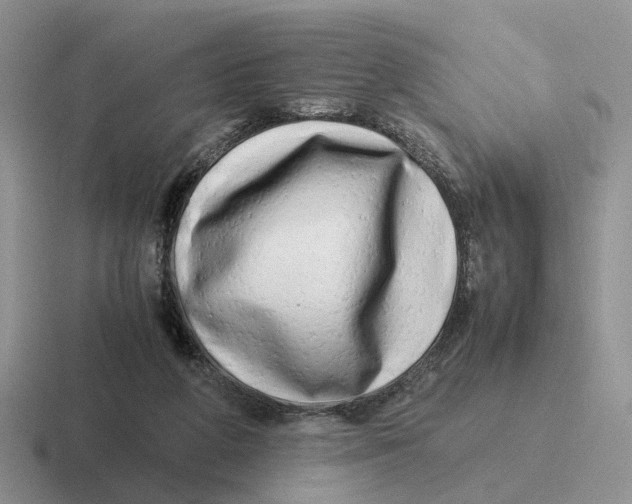 X0000116660210201001041116