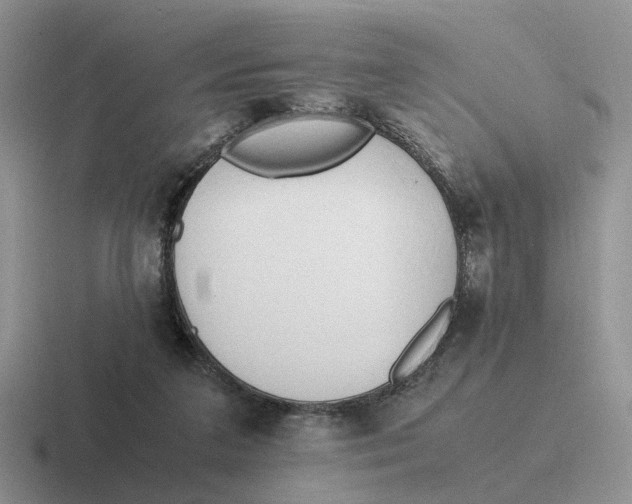 X0000116660211201001041116