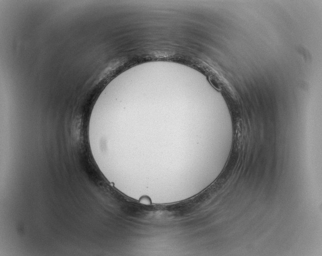 X0000116660212201001041116