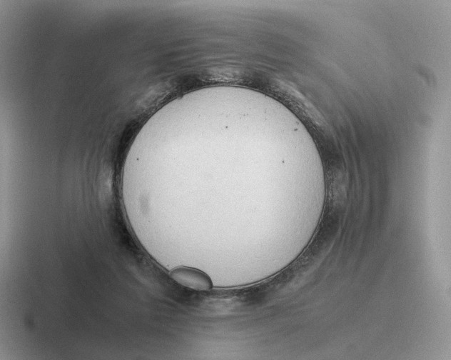 X0000116660213201001041116