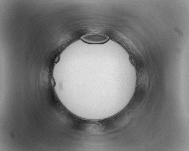 X0000116660215201001041116