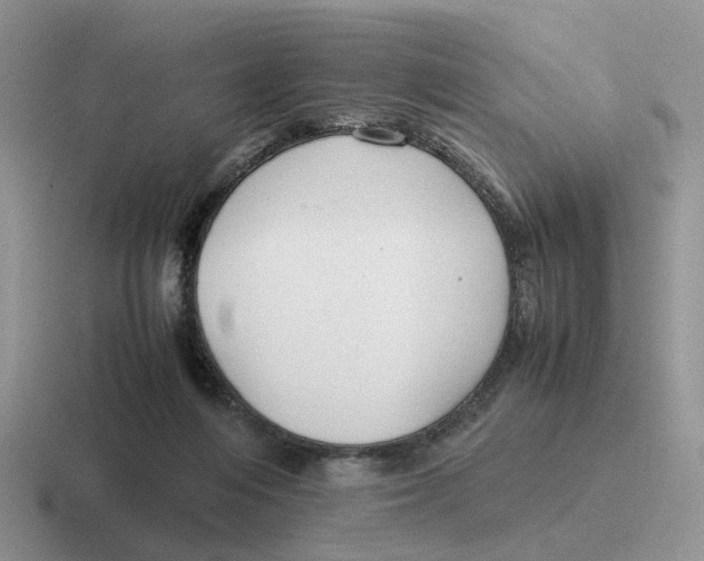 X0000116660216201001041116