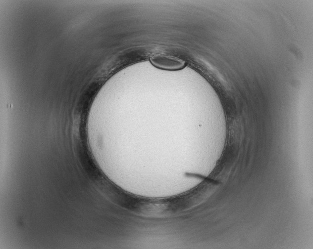 X0000116660217201001041116