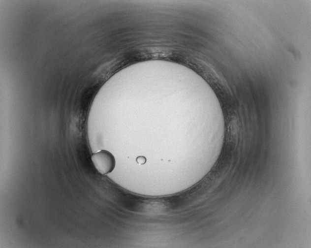 X0000116660218201001041116