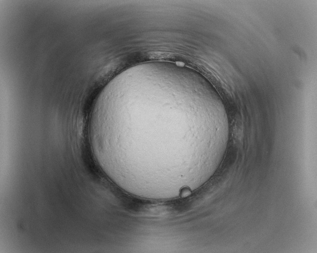 X0000116660219201001041116