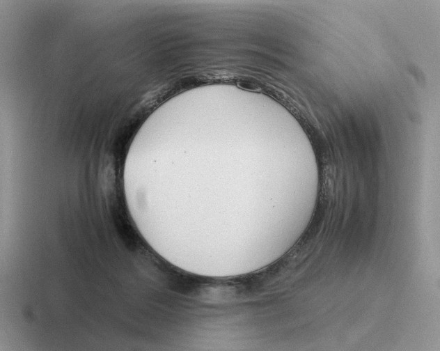 X0000116660220201001041116