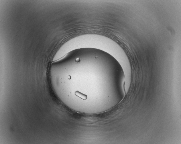 X0000116660221201001041116