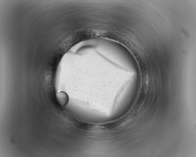 X0000116660222201001041116