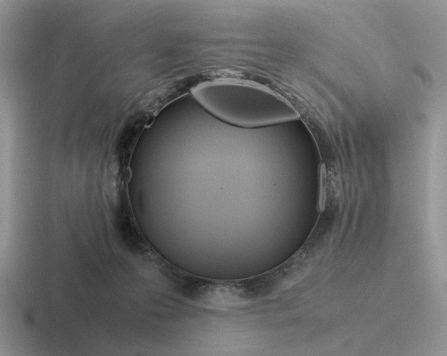 X0000116660223201001041116