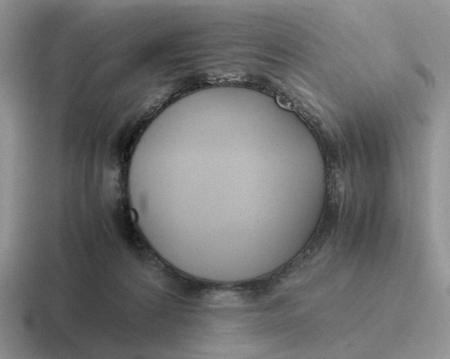 X0000116660224201001041116