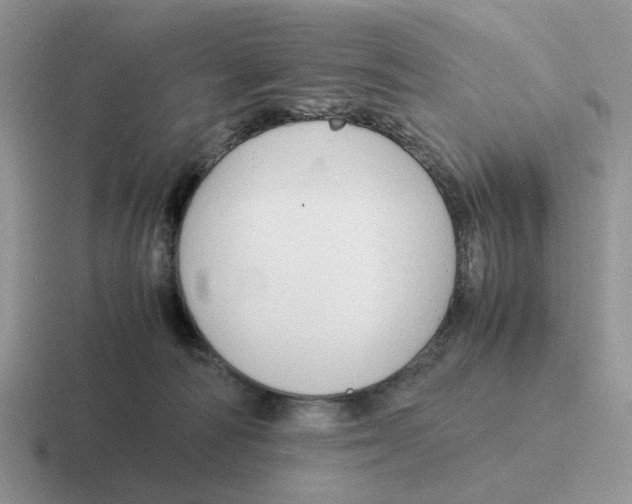 X0000116660226201001041116