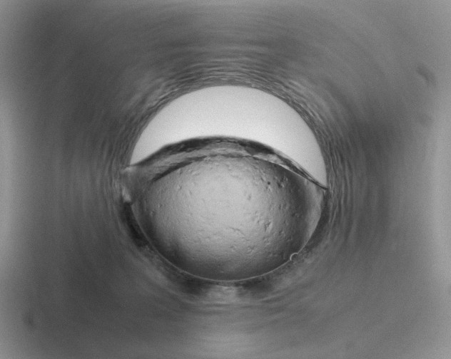 X0000116660227201001041116