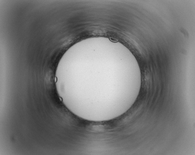 X0000116660228201001041116