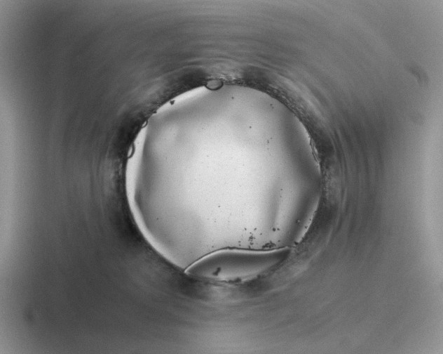 X0000116660229201001041116