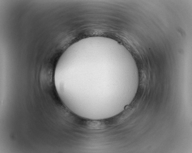 X0000116660230201001041116