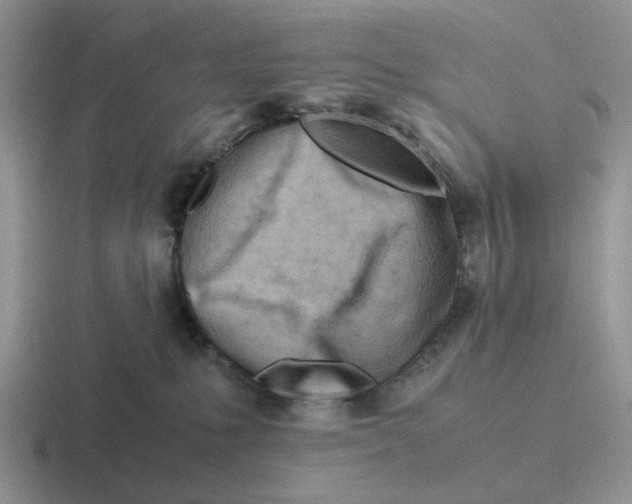 X0000116660231201001041116