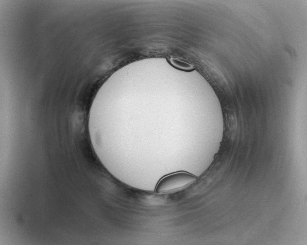 X0000116660232201001041116