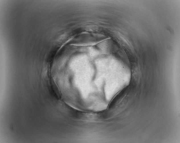 X0000116660233201001041116