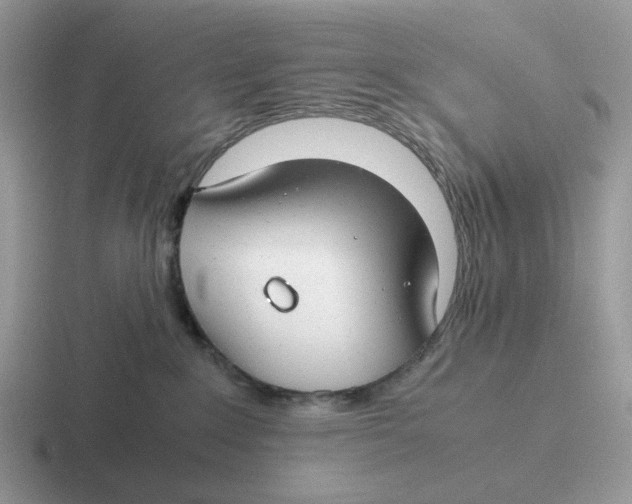 X0000116660235201001041116