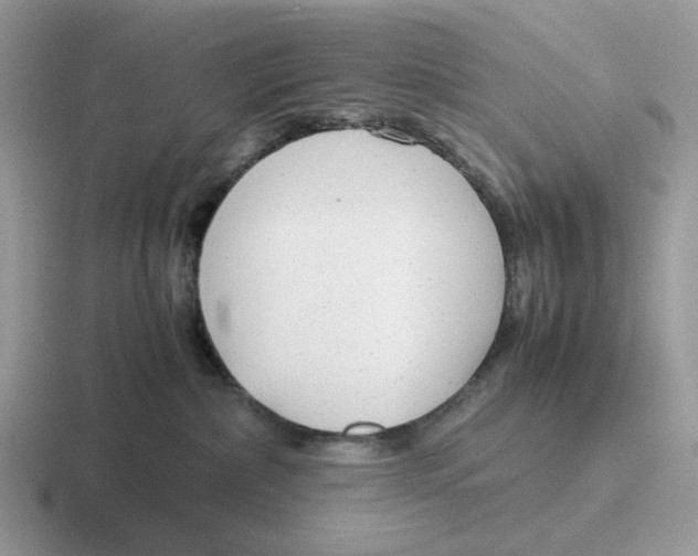 X0000116660236201001041116