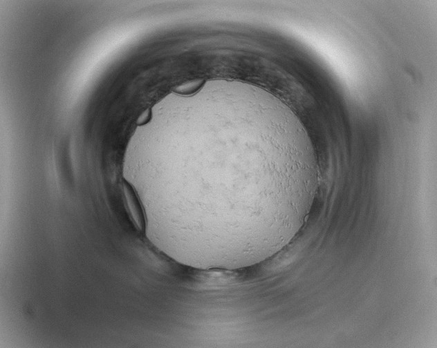 X0000116660239201001041116