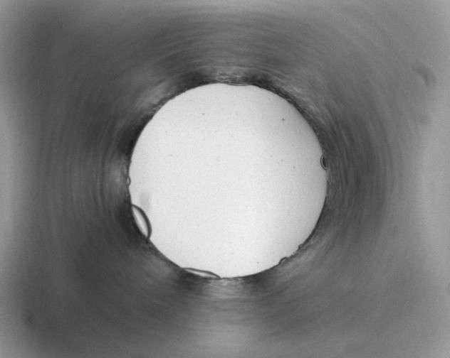 X0000116660240201001041116