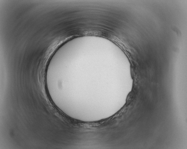 X0000116660241201001041115