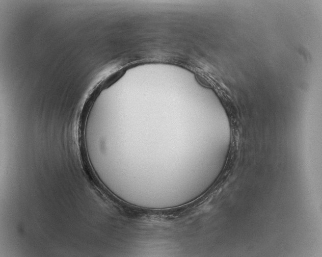 X0000116660244201001041115