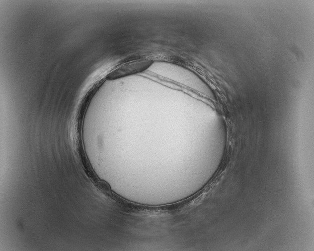 X0000116660245201001041115