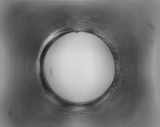 X0000116660246201001041115