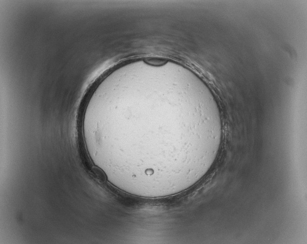 X0000116660248201001041115