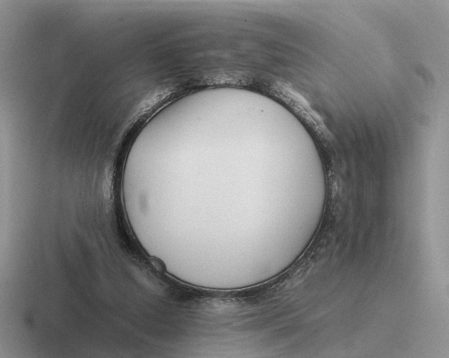 X0000116660250201001041115