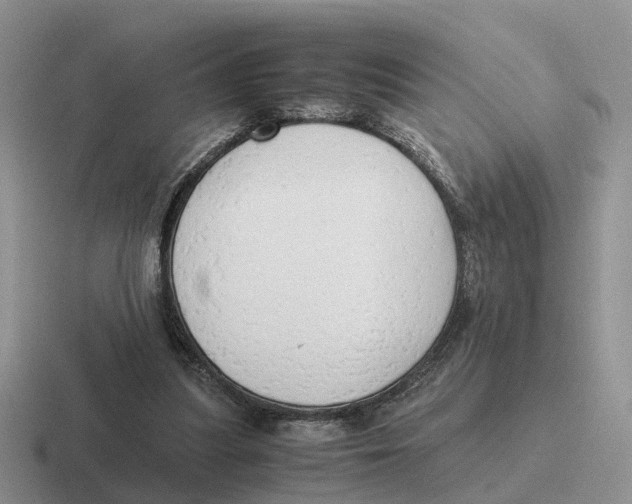 X0000116660251201001041115