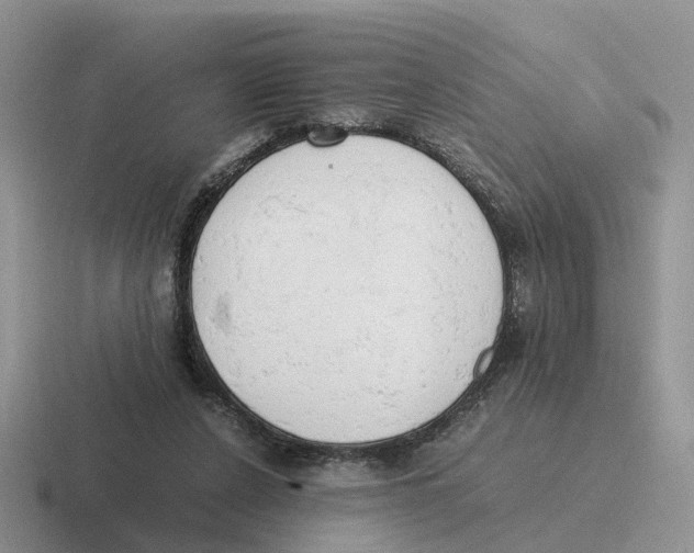 X0000116660256201001041115