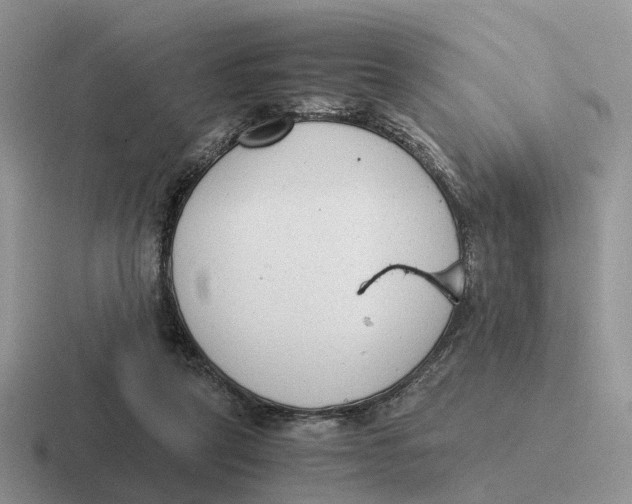 X0000116660257201001041115