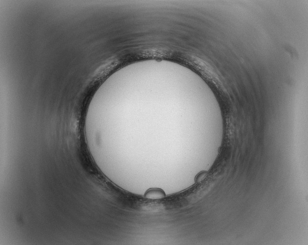 X0000116660258201001041115