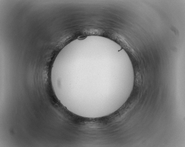 X0000116660259201001041115