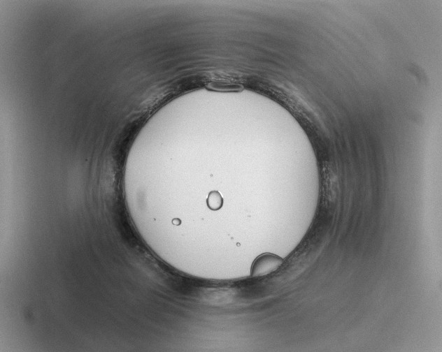 X0000116660266201001041115