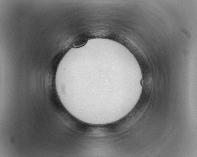 X0000116660268201001041116