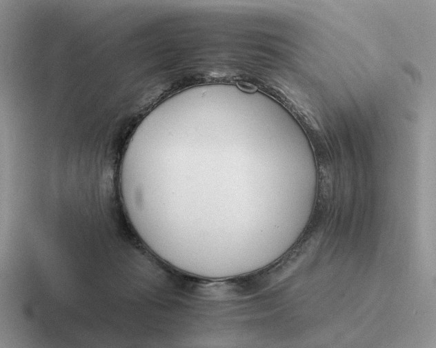 X0000116660269201001041116