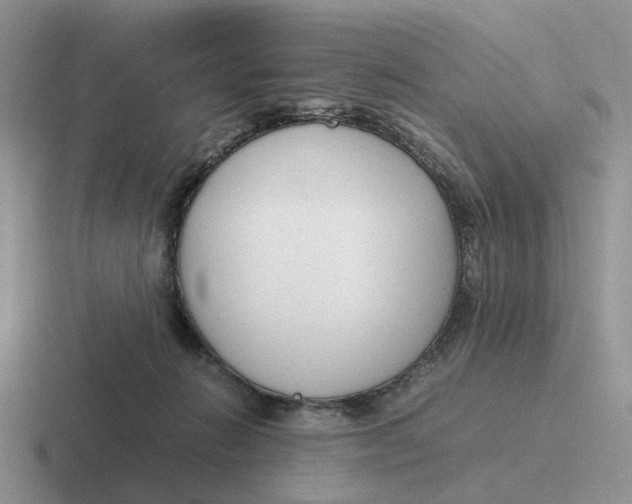 X0000116660270201001041116