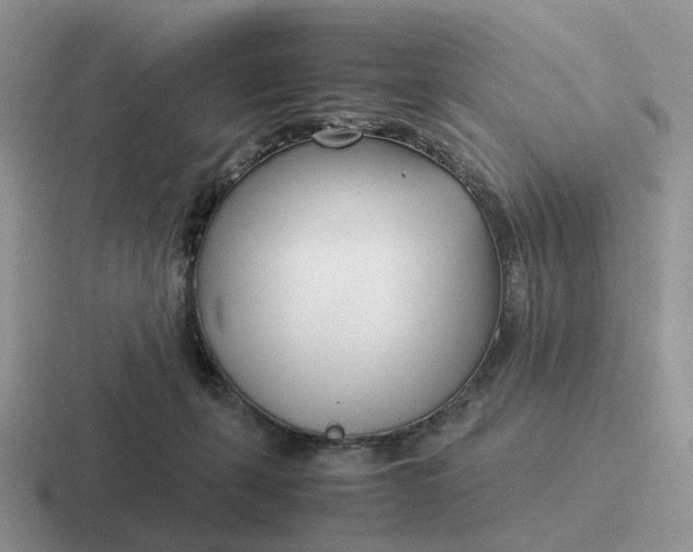 X0000116660271201001041116