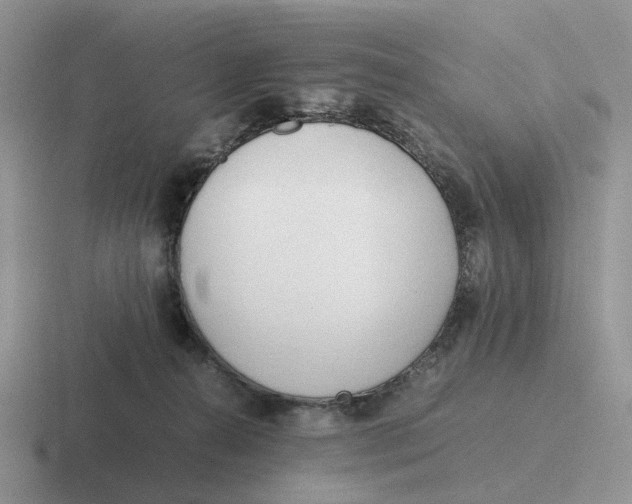 X0000116660272201001041116