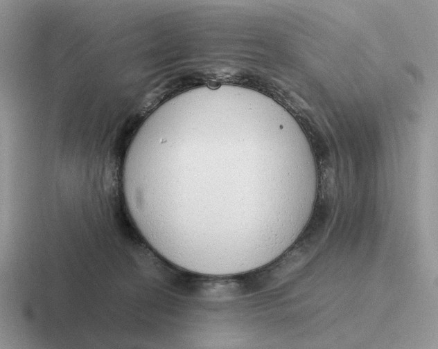 X0000116660274201001041116